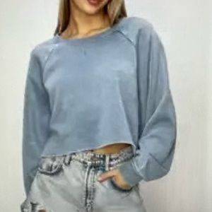 Double Zero Cropped Sweatshirt in Gray/Blue